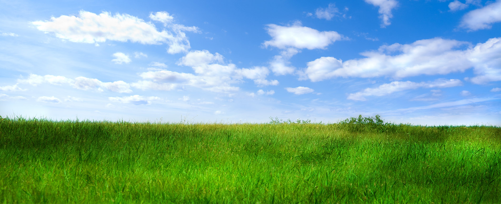 Banner - Markus Sorgen